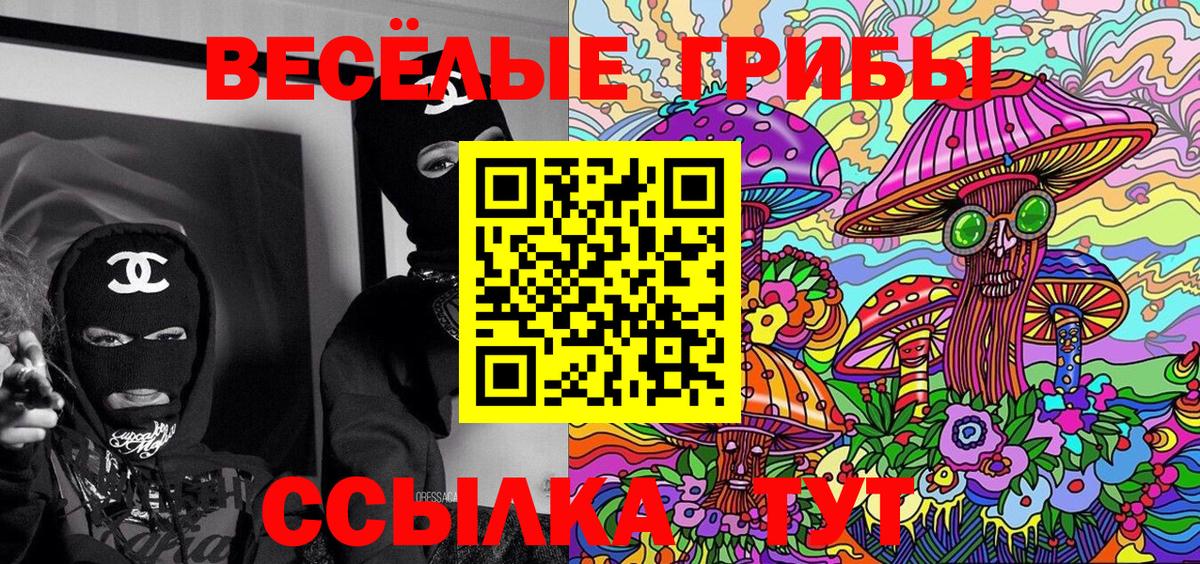 Аргун  Галлюциногенные грибы MAGIC MUSHROOMS  Вход с VPN 